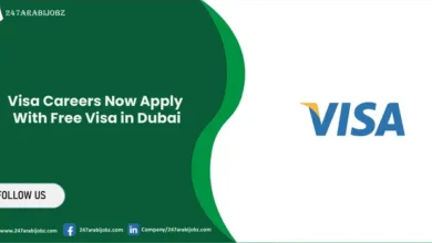 Visa Careers